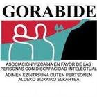 Gorabide se proclama campeón de Tercera División de Liga Vasca de Deporte Adaptado